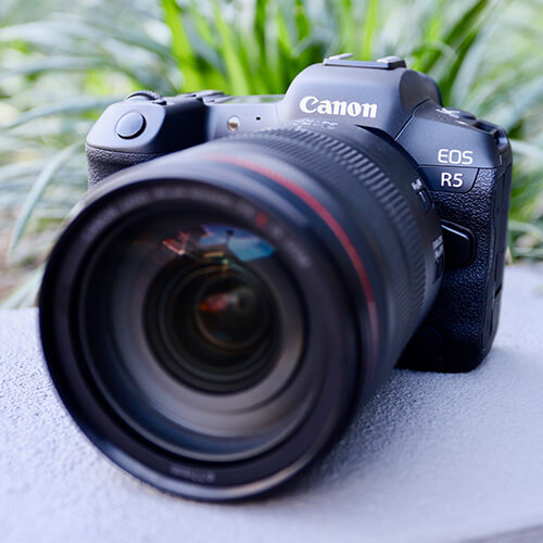 Best Canon Professional Camera 