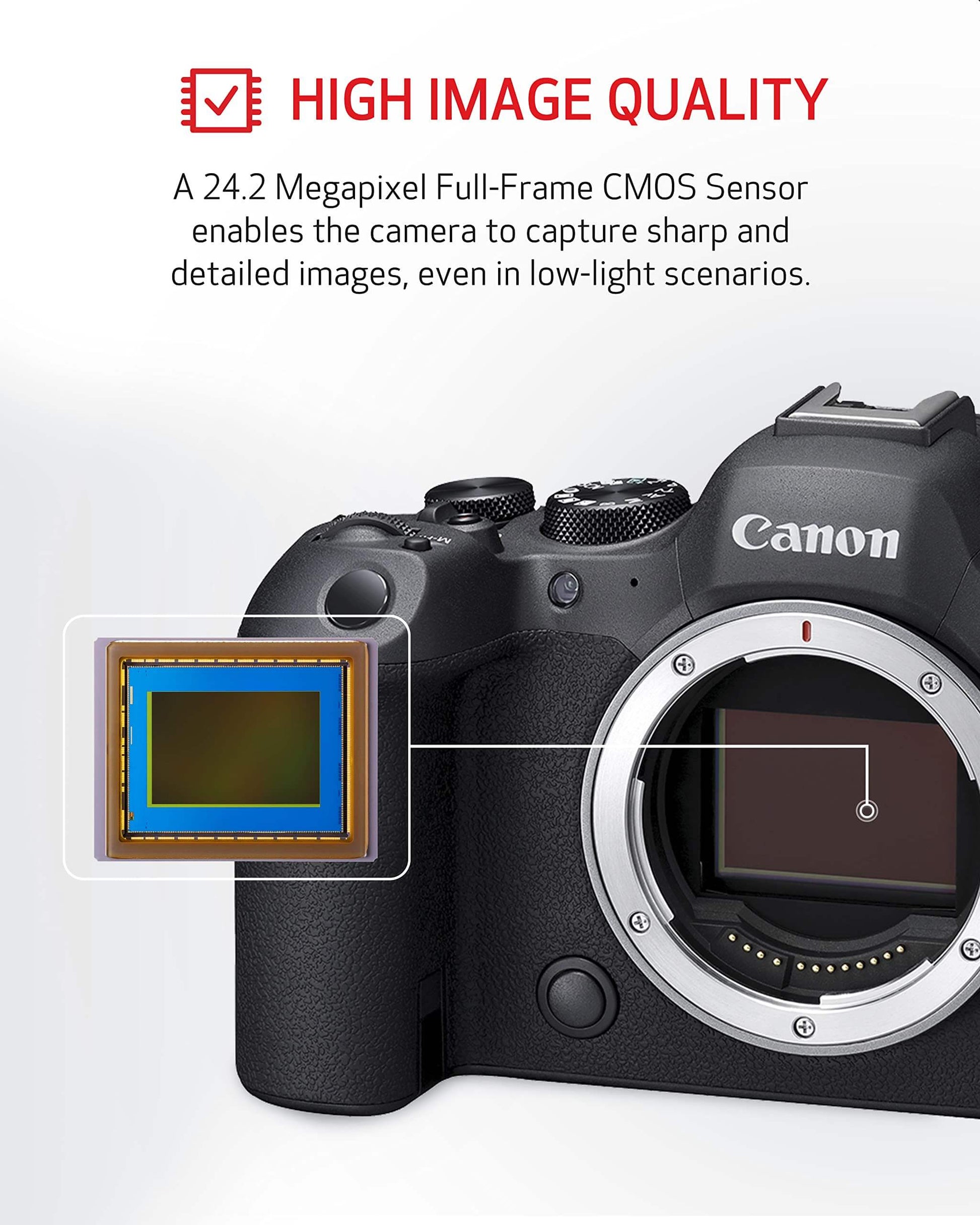 Canon EOS R6 Mark II body PRE ORDER - Kamera Express