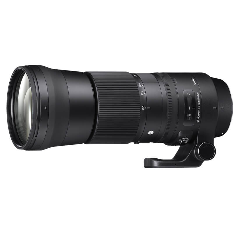 Sigma-150-600mm-Contemporary-Lens-for-Nikon