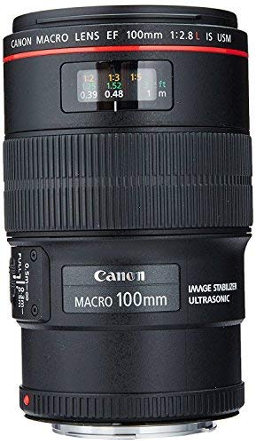 Canon EF 100mm f/2.8L IS USM Macro 