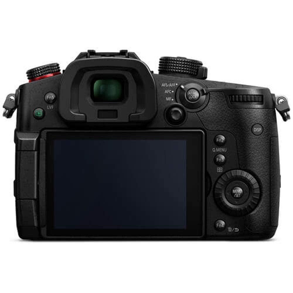 Panasonic GH5S Cameras