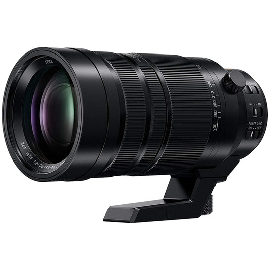 Panasonic Lumix 100-400mm f/4-6.3 Leica Lens