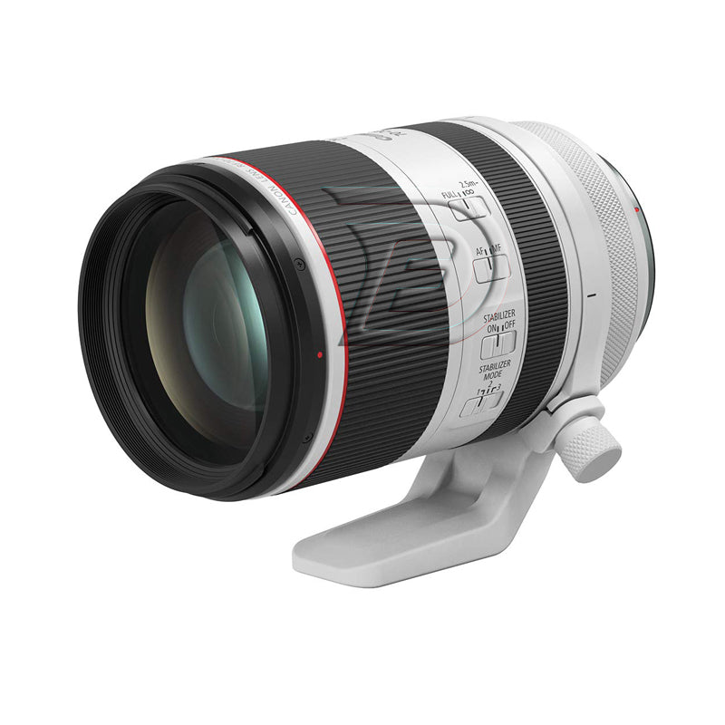 Canon RF 70-200mm Lens