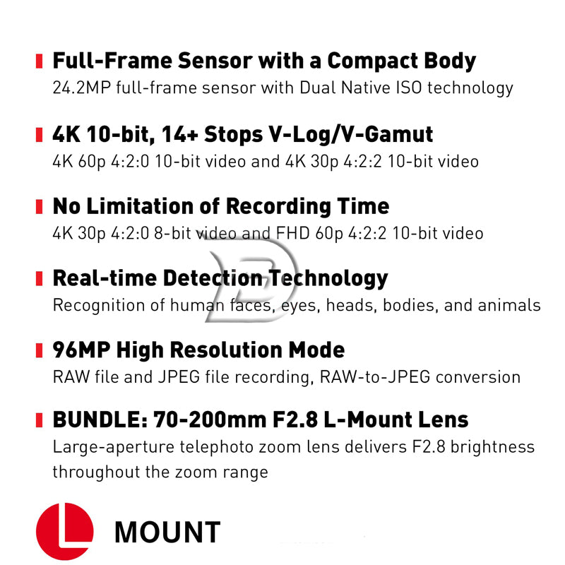 Panasonic LUMIX S5 Camera