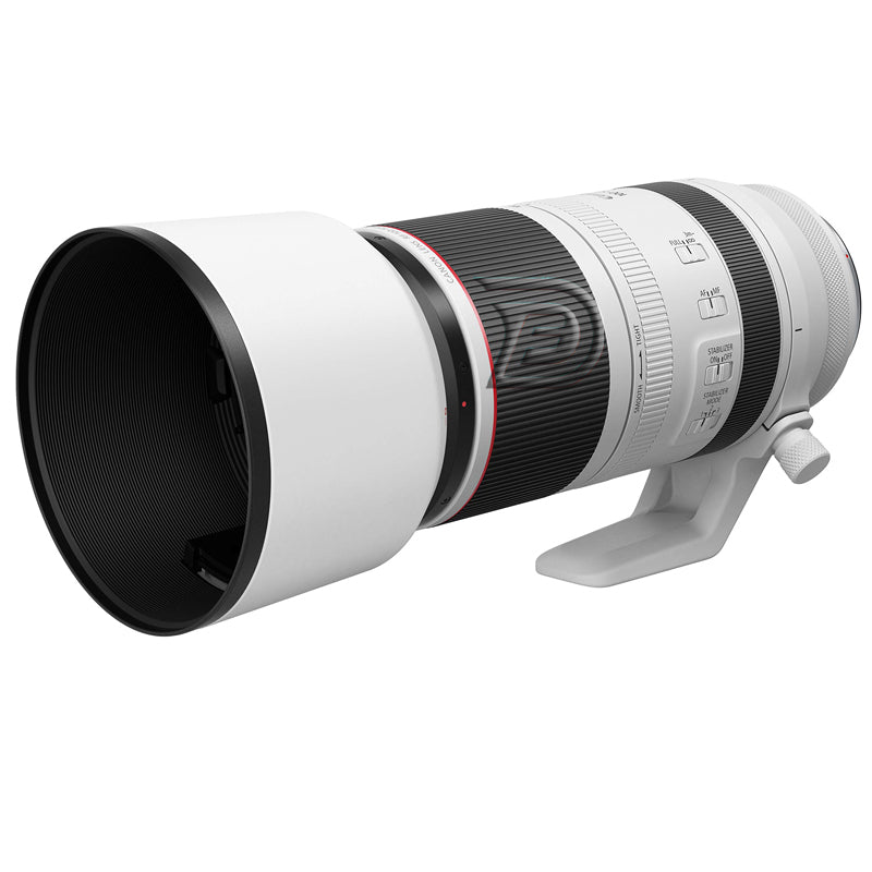 Canon RF 100-500mm Lens